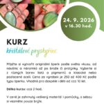 Pozvánka na Kurz křišťálové pryskyřice