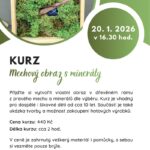 Pozvánka na Kurz : mechový obraz